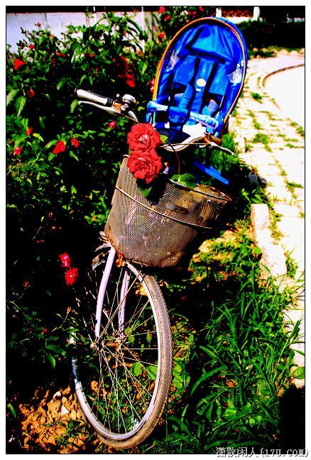 闲拍自行车