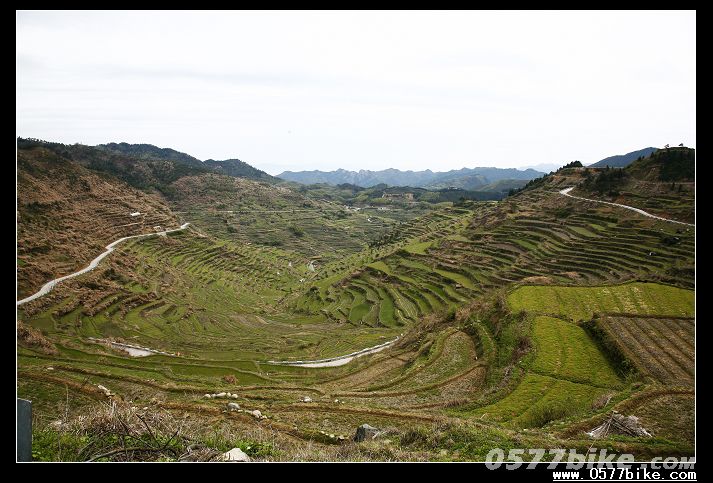 2010&ldquo;������&rdquo;���������г�������������ƪ�� 1.jpg