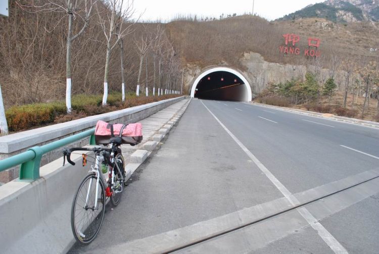 ���η�˹Ŵ���