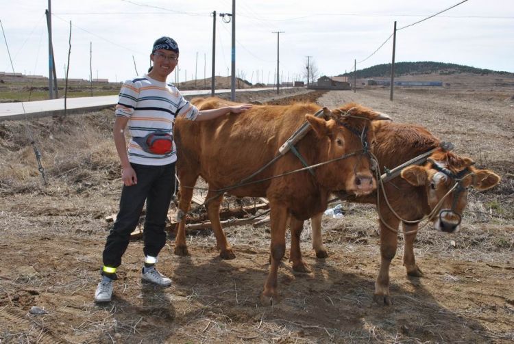 ���η�˹Ŵ���