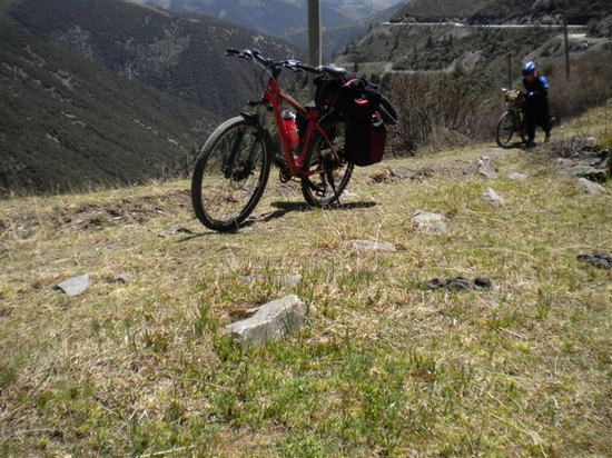 �����ߴ���