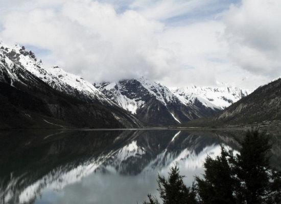 �����ߴ���