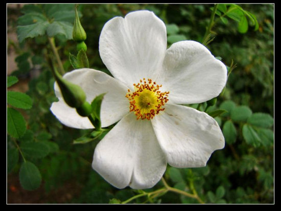 ���������������