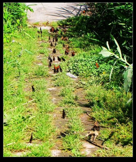 ���������������