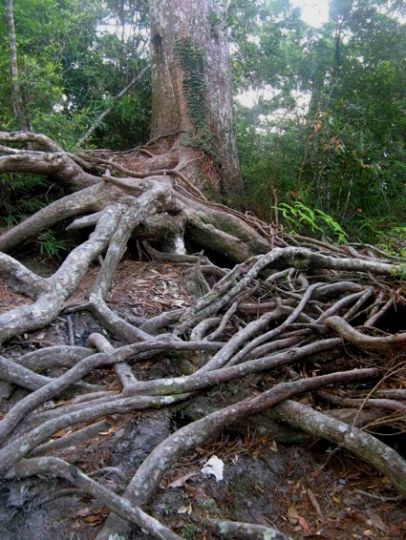 孤独人生路——独行海南岛