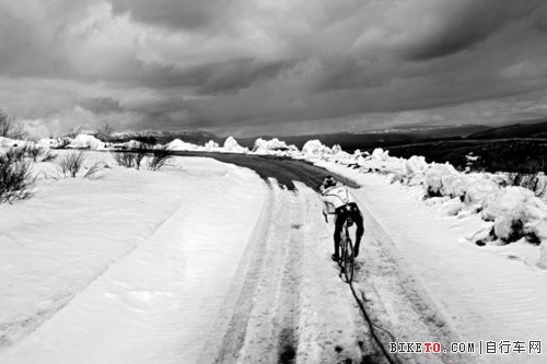 ��ķɫ����