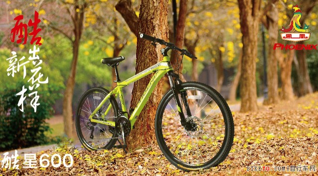 凤凰自行车 凤凰自行车