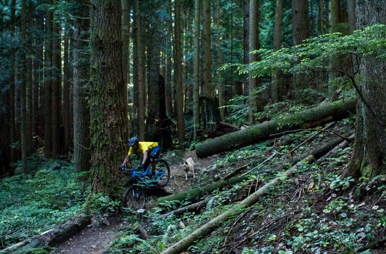 Specialized Stumpjumper FSR Comp EVO 650B