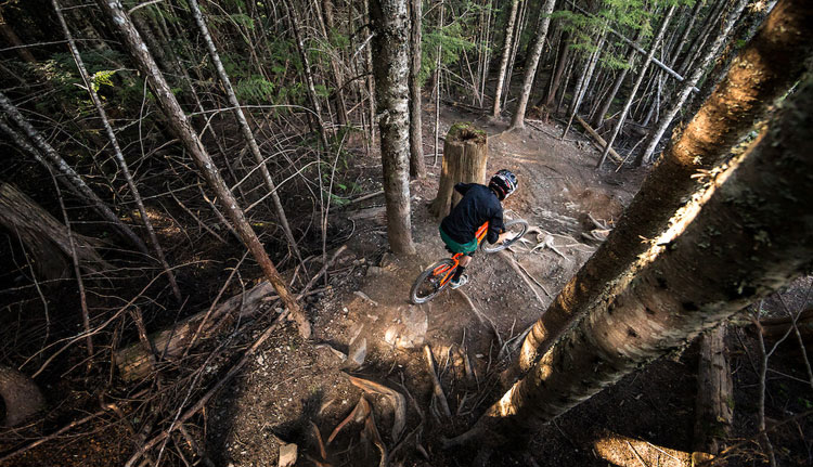 BANHEE全新Darkside BANHEE全新Darkside