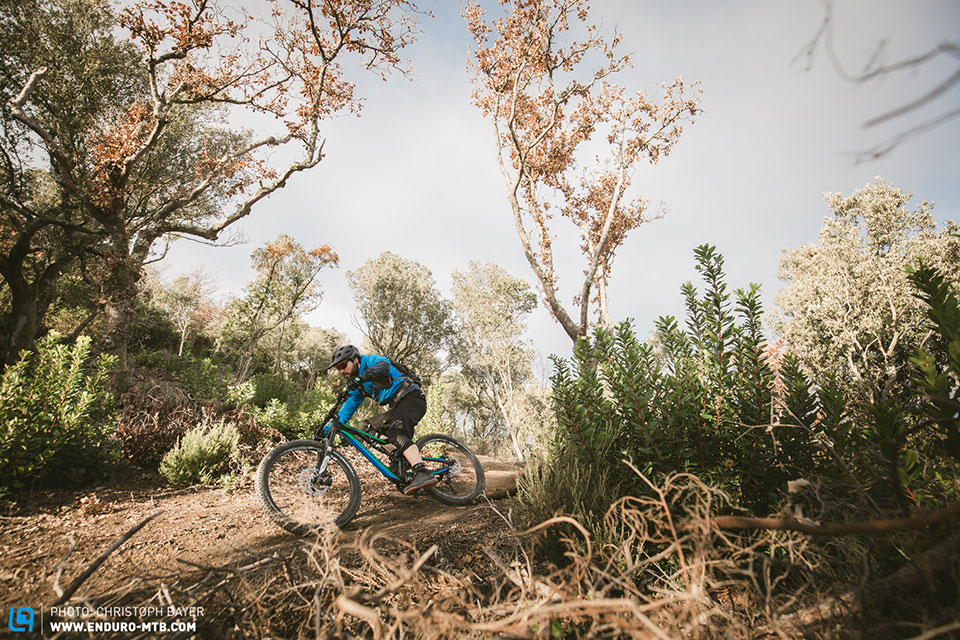 Rose-Uncle-Jimbo-Review-web-CB-0175.jpg Rose-Uncle-Jimbo-Review-web-CB-0175.jpg