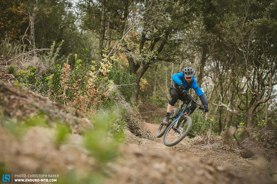 Rose-Uncle-Jimbo-Review-web-CB-0303.jpg Rose-Uncle-Jimbo-Review-web-CB-0303.jpg