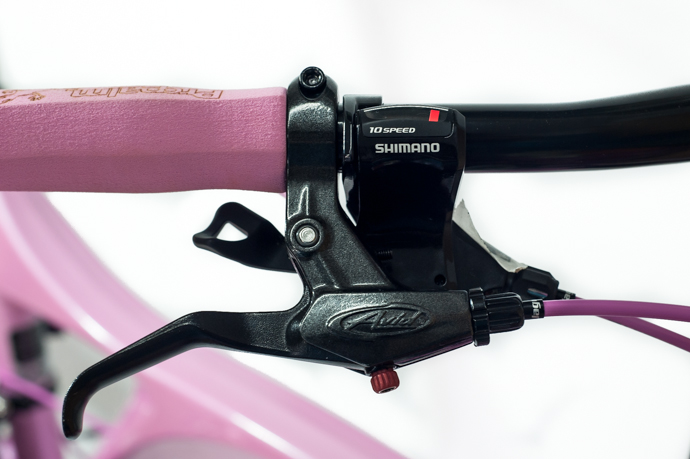 粉红妹子的粉红鸟车改装记 粉红妹子的粉红鸟车改装记