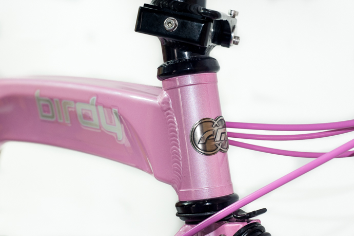 粉红妹子的粉红鸟车改装记 粉红妹子的粉红鸟车改装记