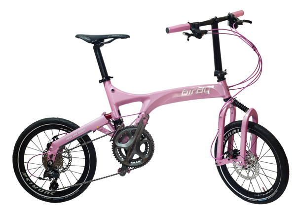 粉红妹子的粉红鸟车改装记 粉红妹子的粉红鸟车改装记