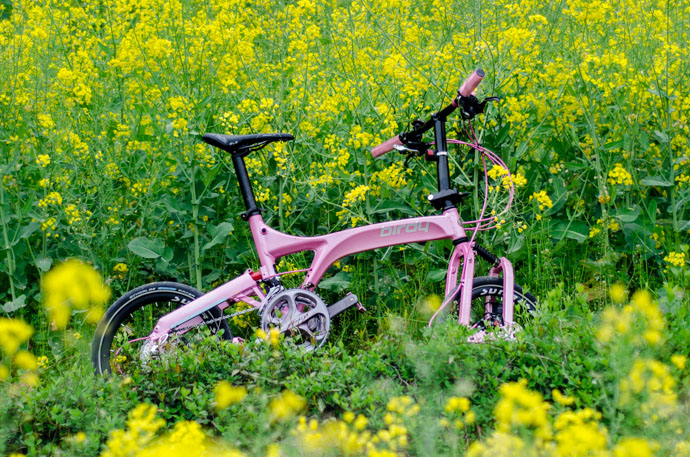 粉红妹子的粉红鸟车改装记 粉红妹子的粉红鸟车改装记