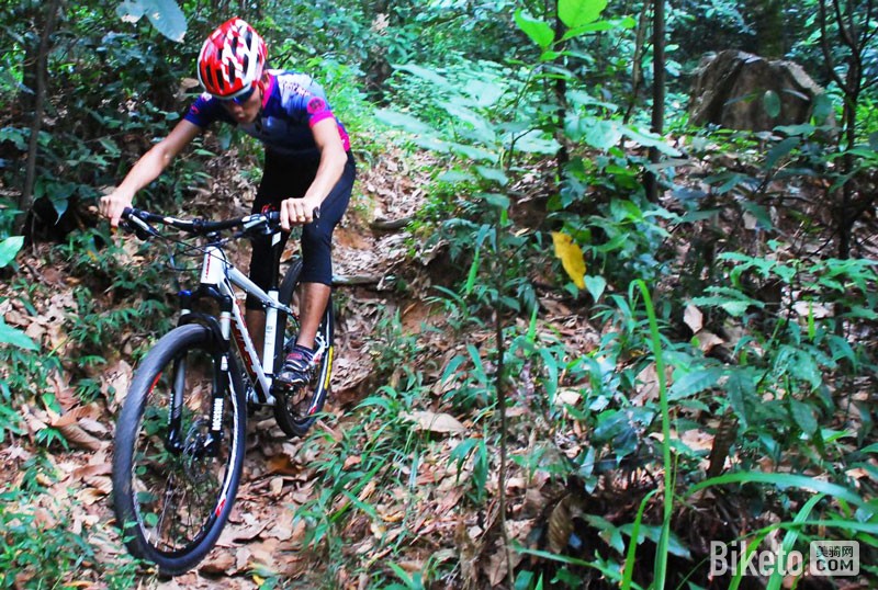 image030.jpg image030.jpg