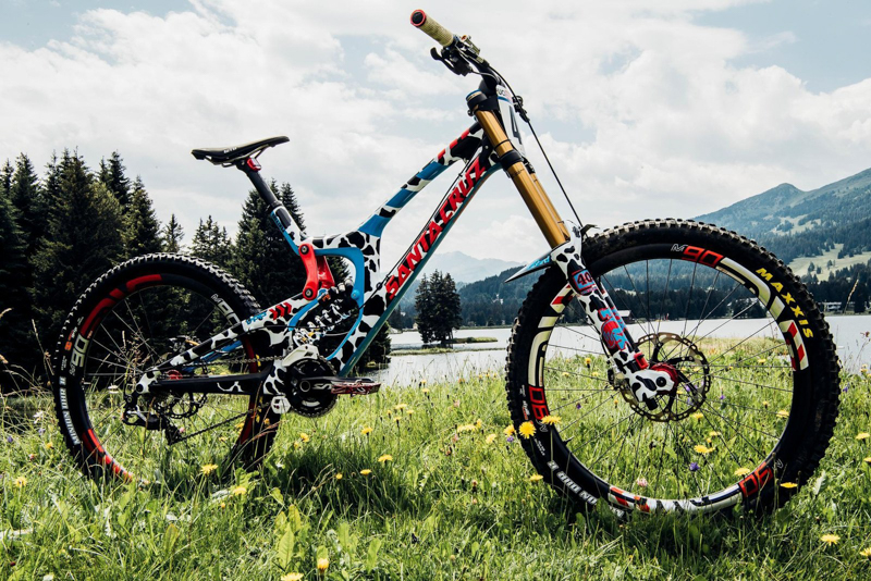 ţͿװ Santa Cruz V-10 