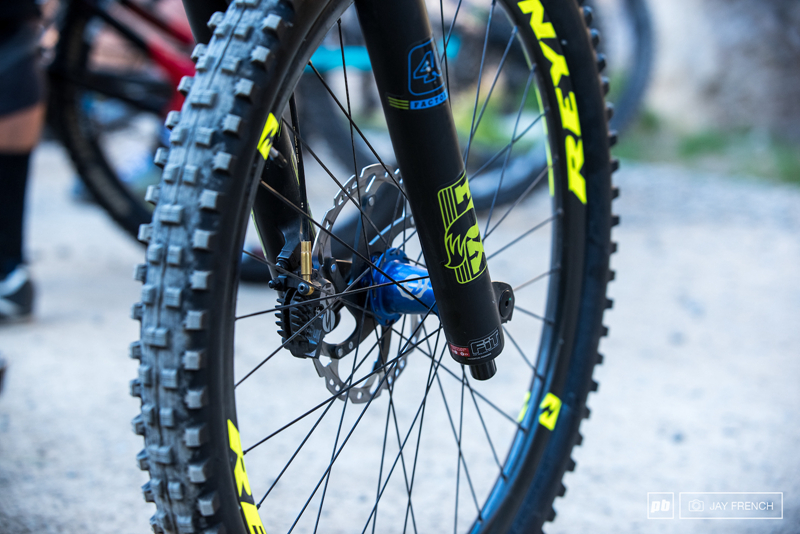 ɫˣ Pivot Phoenix DH