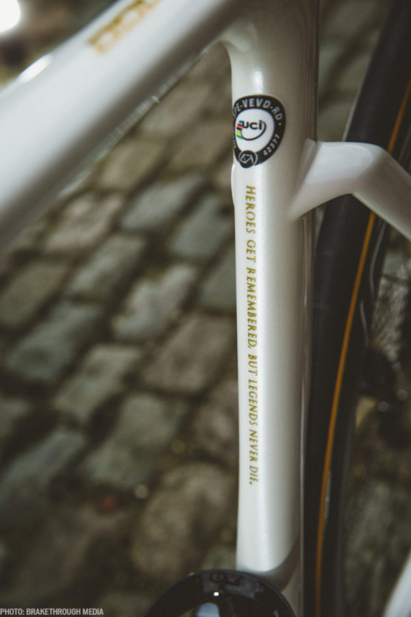 ����ս�� ��ķ•���ϵĶ���Venge��ɲ��