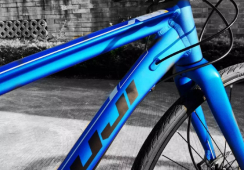 Fuji Absolute���г�