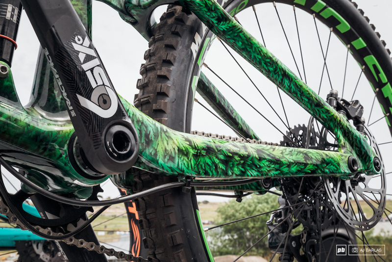 Sea Otter����Ϳװ����