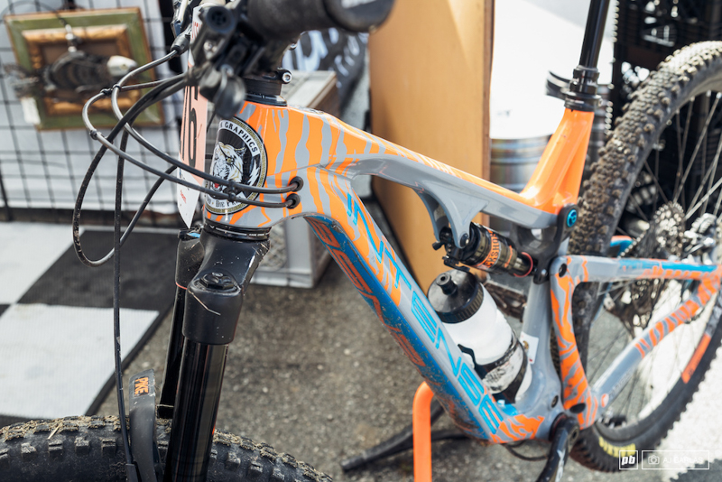 Sea Otter����Ϳװ����