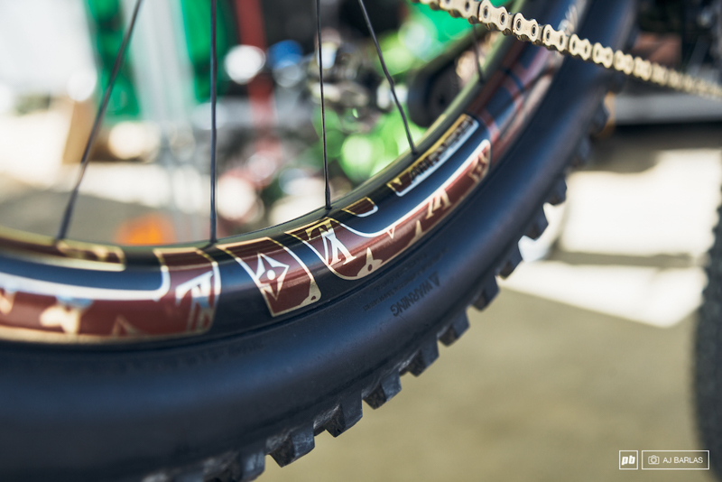 Sea Otter����Ϳװ����