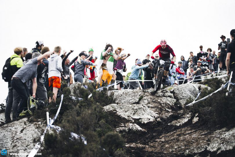 NAILD R3ACT—2 PLAY 新一代避震结构诞生 NAILD R3ACT—2 PLAY 新一代避震结构诞生