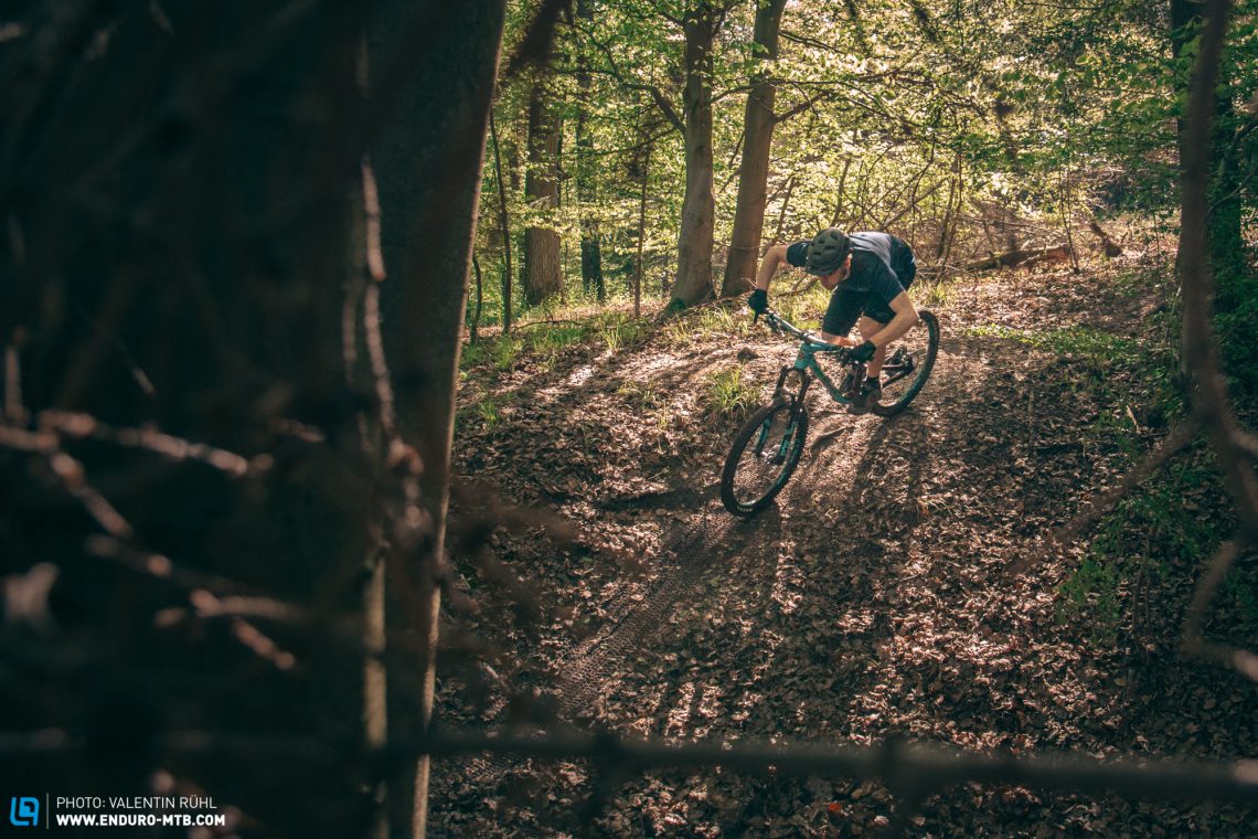 file0011.jpg file0011.jpg