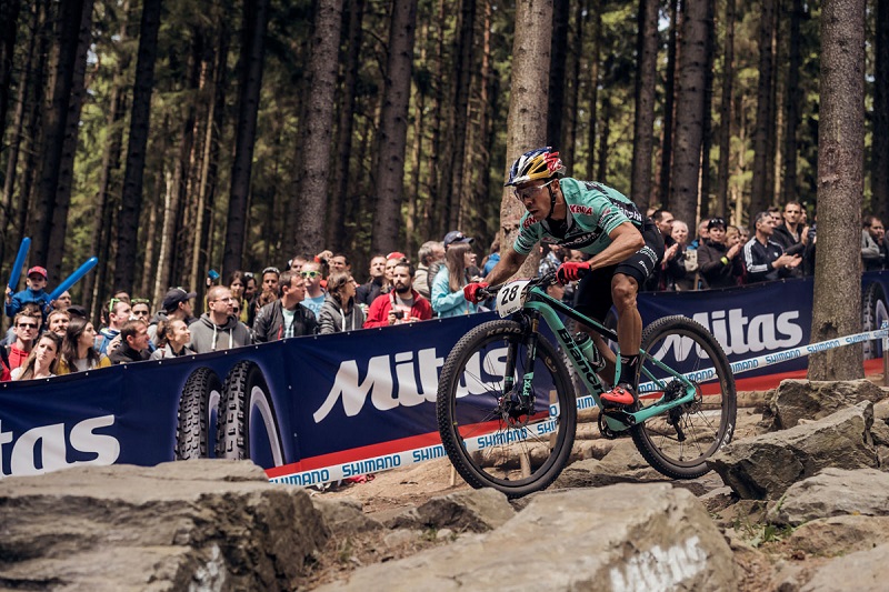 ɽ�����籭