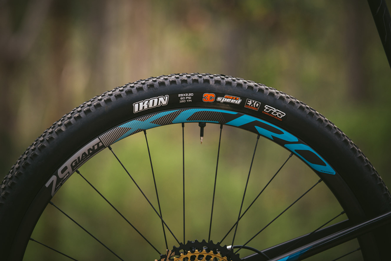 29�־�С���ˣ�Giant Anthem Advanced Pro