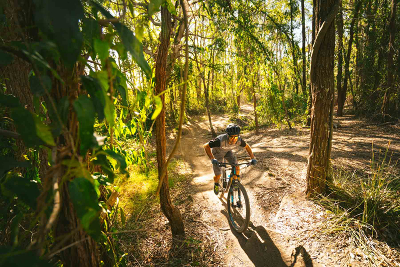 29�־�С���ˣ�Giant Anthem Advanced Pro