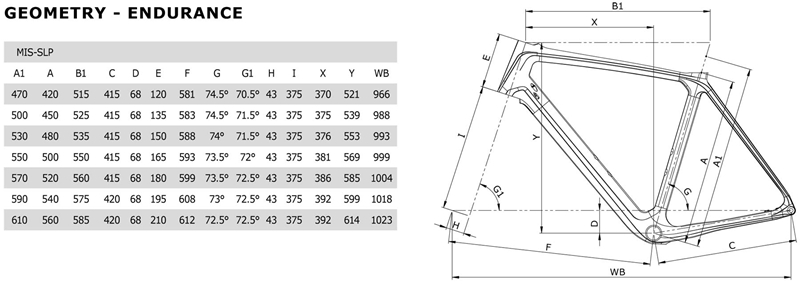 Bianchi发布新款Oltre XR4 Disc和Infinito CV Disc