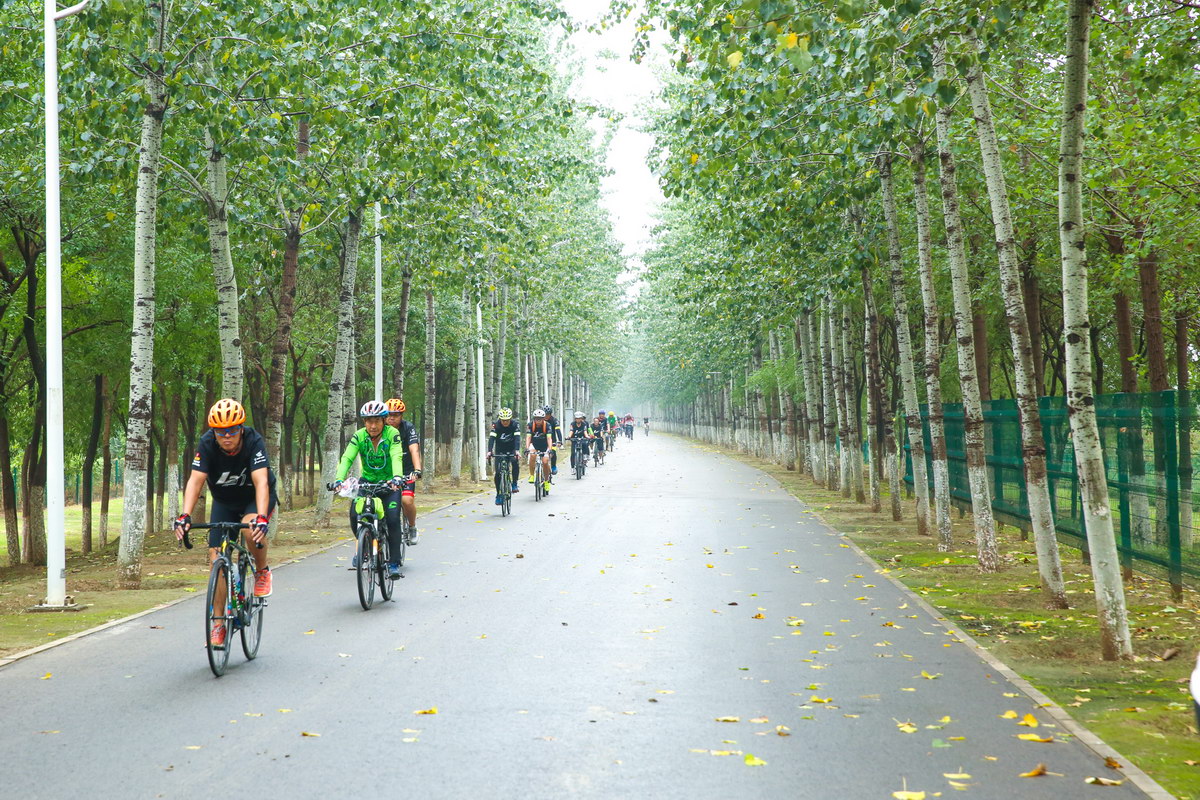 骑车,交友 骑车,交友