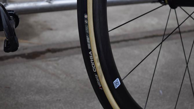 车手战车 范·阿维马特的定制Giant TCR ADV SL