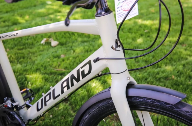 ���ֵ�,UPLAND,���г�