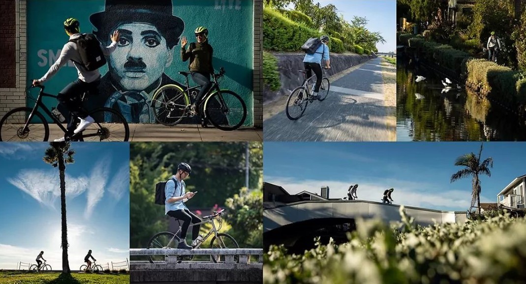 trek,城市车 trek,城市车