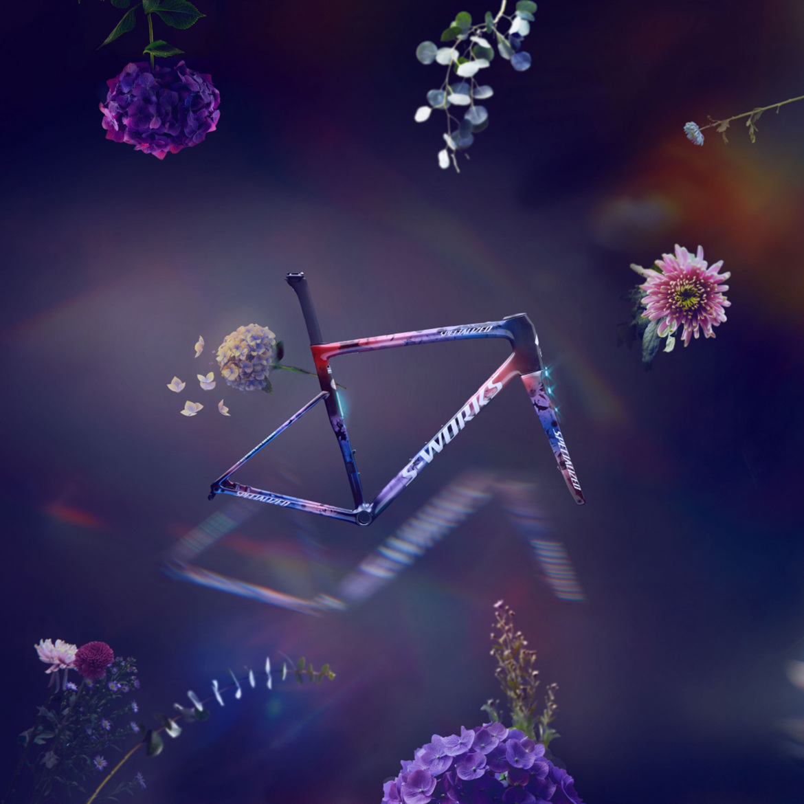 һʼډ(mng) W늰l(f)Demi(mng)S-Works Tarmac SL8܇ܽM