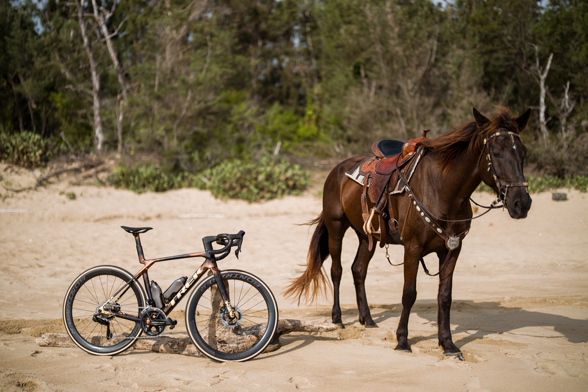 TREK推出Project One ICON Palomino “马动骁腾” 中国马年涂装 TREK推出Project One ICON Palomino “马动骁腾” 中国马年涂装