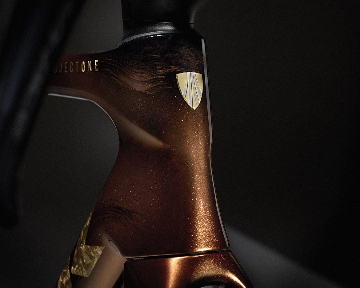 TREK推出Project One ICON Palomino “马动骁腾” 中国马年涂装