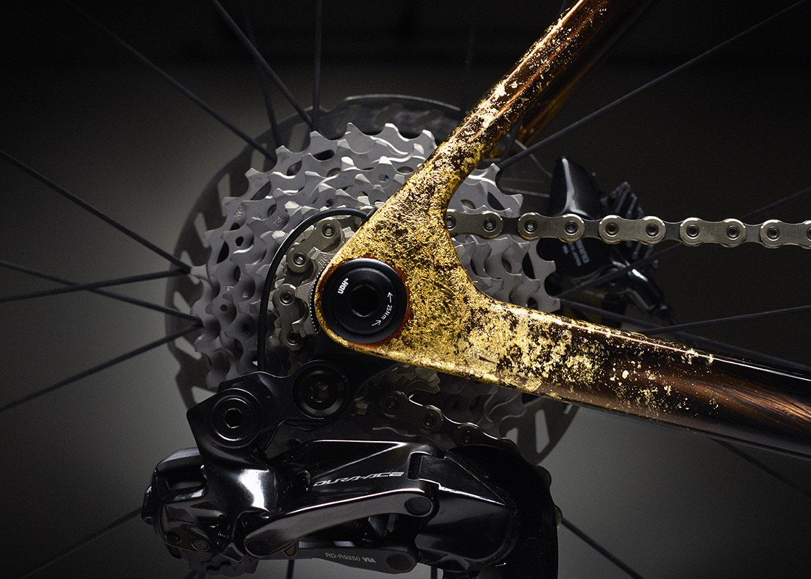 TREK推出Project One ICON Palomino “马动骁腾” 中国马年涂装