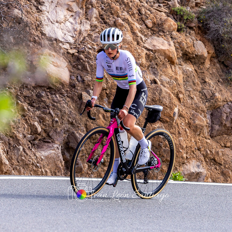 2026��ֵ���ڴ����¿·��