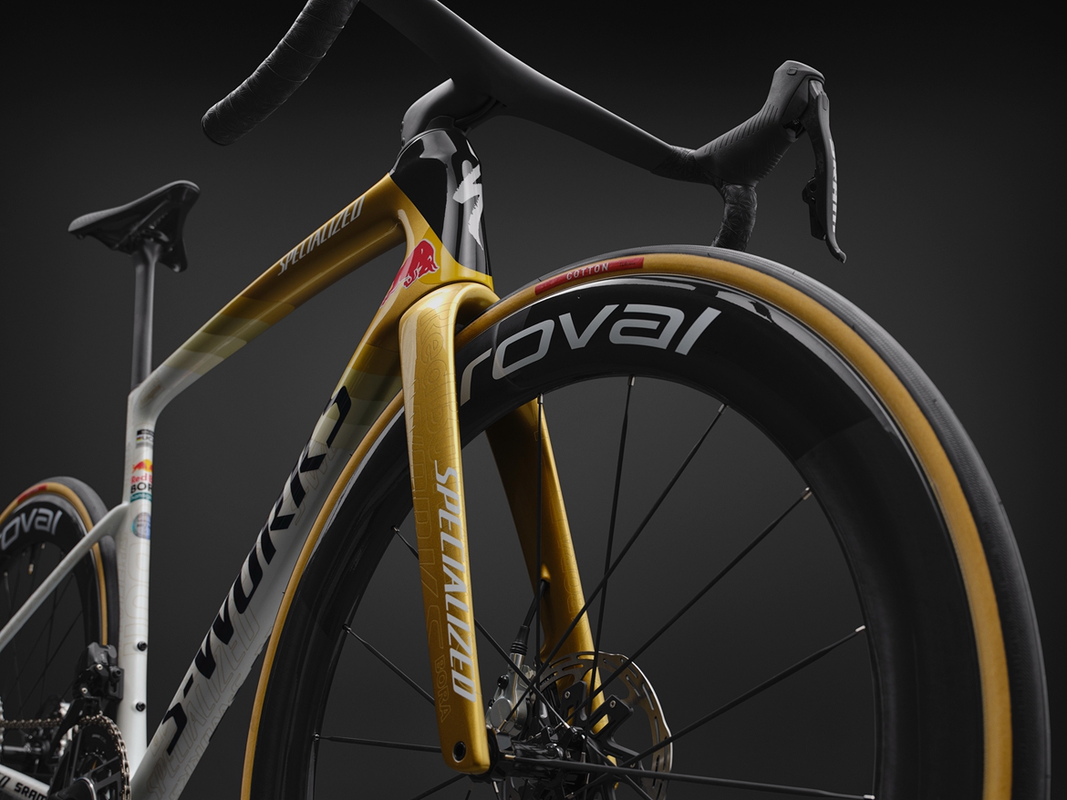 S-Works Tarmac SL9 Remco限量版