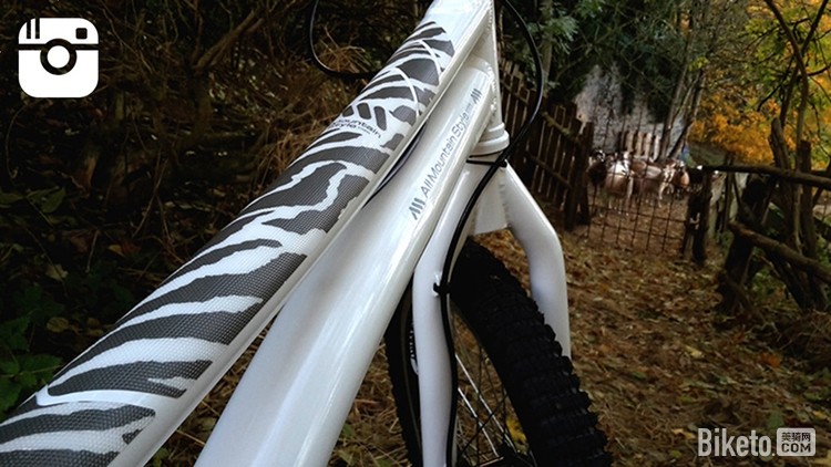 AMS_FRAME_GUARD_STD_ZEBRA_TRIAL_BIKE_1024x1024.jpg