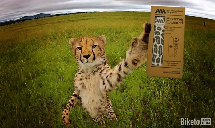 AMS���ܱ�����