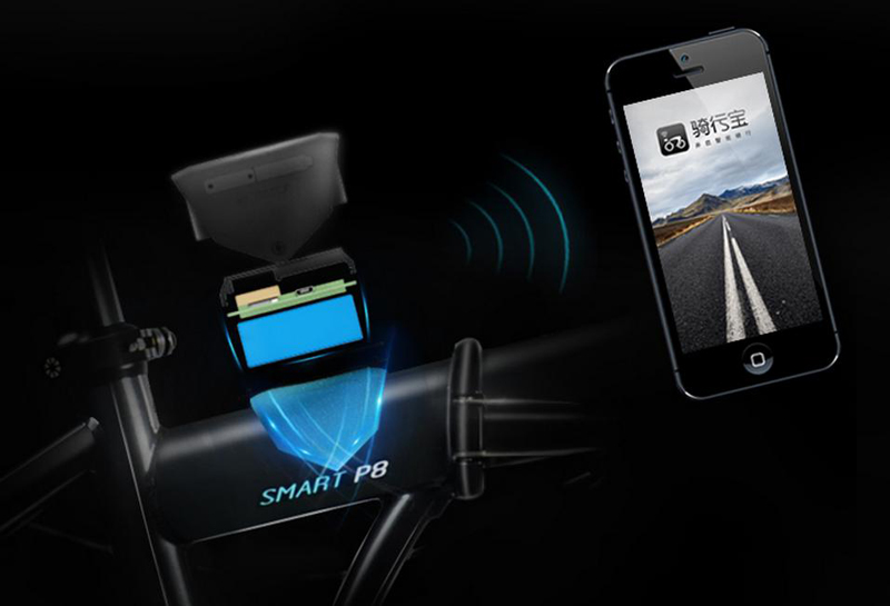 ��������P8