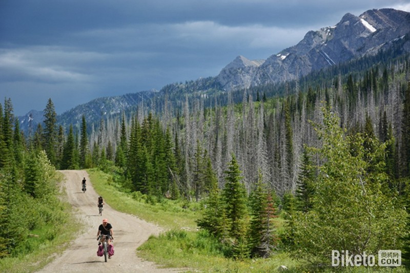 �λõ���;��Ҫ�����＾7�Ʒ���г��Ƽ�