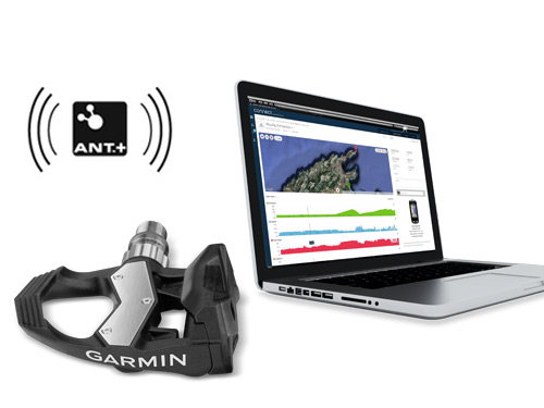 vector2s_feature_07.jpg vector2s_feature_07.jpg