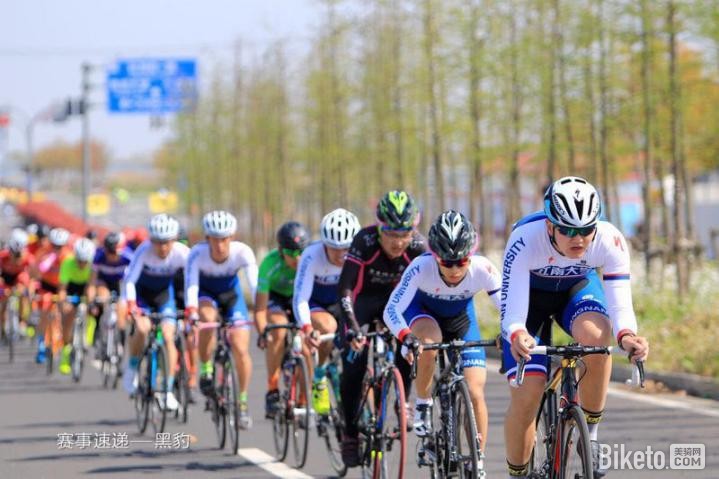 MOTON���з�����