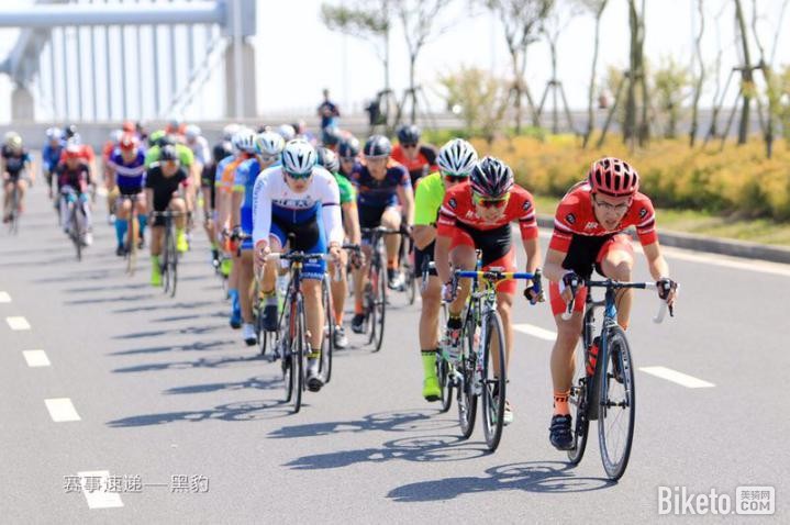 MOTON���з�����